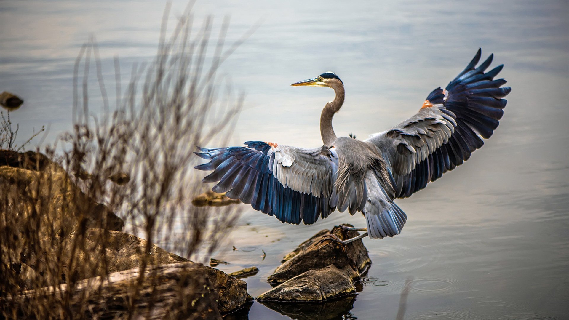 IM体育官方网站-冰与火的碰撞，福克斯爆发引领凯尔特人绝境逢生，生死战险胜吉林队