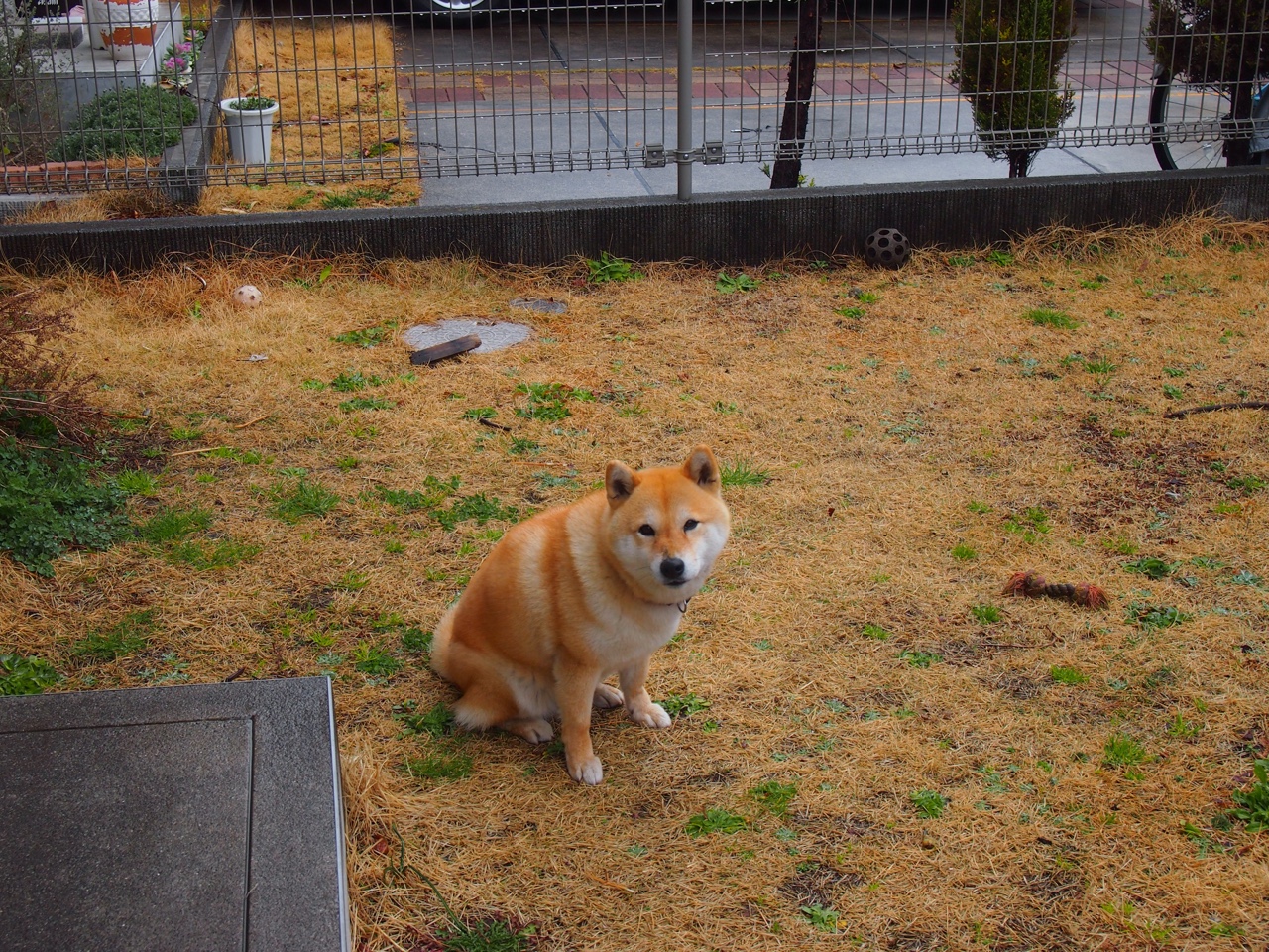 当永恒之城的意志冲垮南美魔法，奥利维耶如何成为胜负手