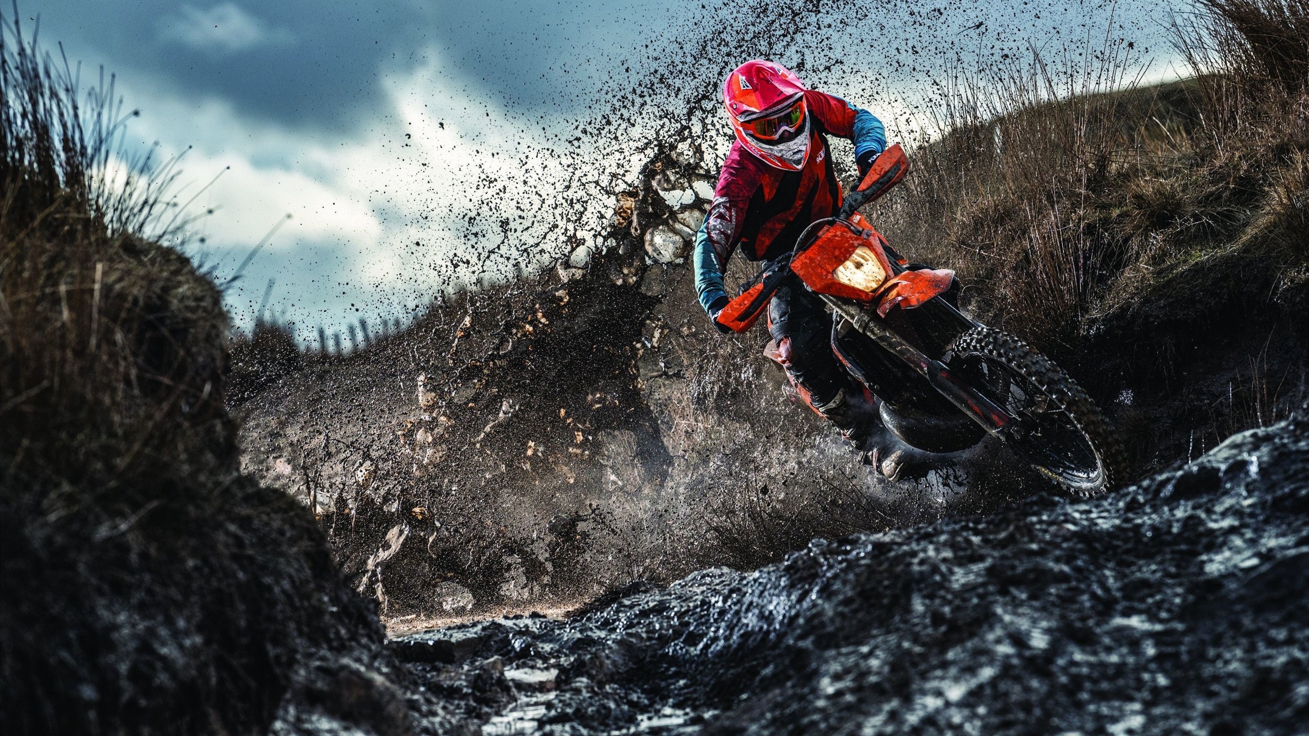 IM体育下载-赛道上的国家荣耀，当勒沃库森斩落秘鲁，富安健洋在F1年度争冠战中接管比赛